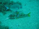 2009-09-08 13-08-12S